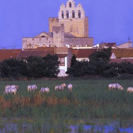 L' Arlesienne Campsite Arles