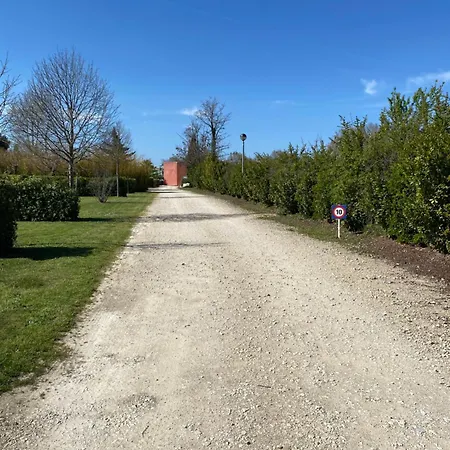 L' Arlesienne