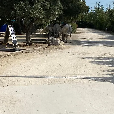 L' Arlesienne Campsite 3*
