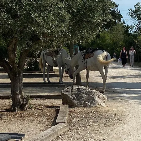 L' Arlesienne Campsite Arles